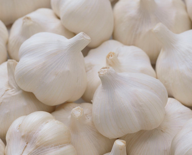 Garlic exports from China