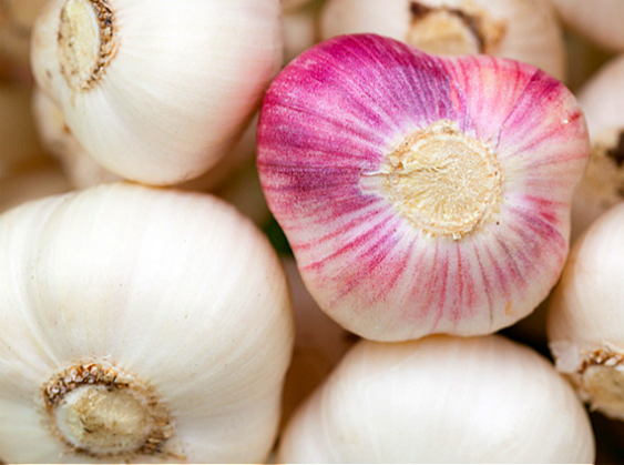 Garlic price in China