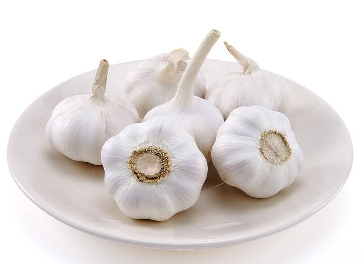 Garlic price in China