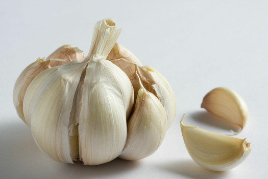 Garlic suppliers in China